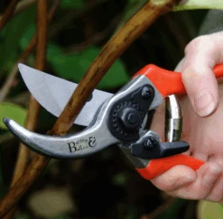 Burgon & Ball Bypass Secateurs - RHS Endorsed -Care Garden Shop burgon ball bypass secateurs rhs endorsed 3