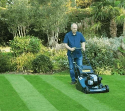Hayter Harrier 56 Petrol VS BBC Rear-Roller Mower -Care Garden Shop code575alifestylecmyk 156 lrg